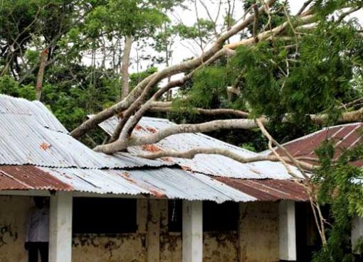 ঘূর্ণিঝড় আম্পানে গাছ পড়ে মঠবাড়িয়ার নূরজাহান মাধ্যমিক বিদ্যালয় বিধ্বস্ত
